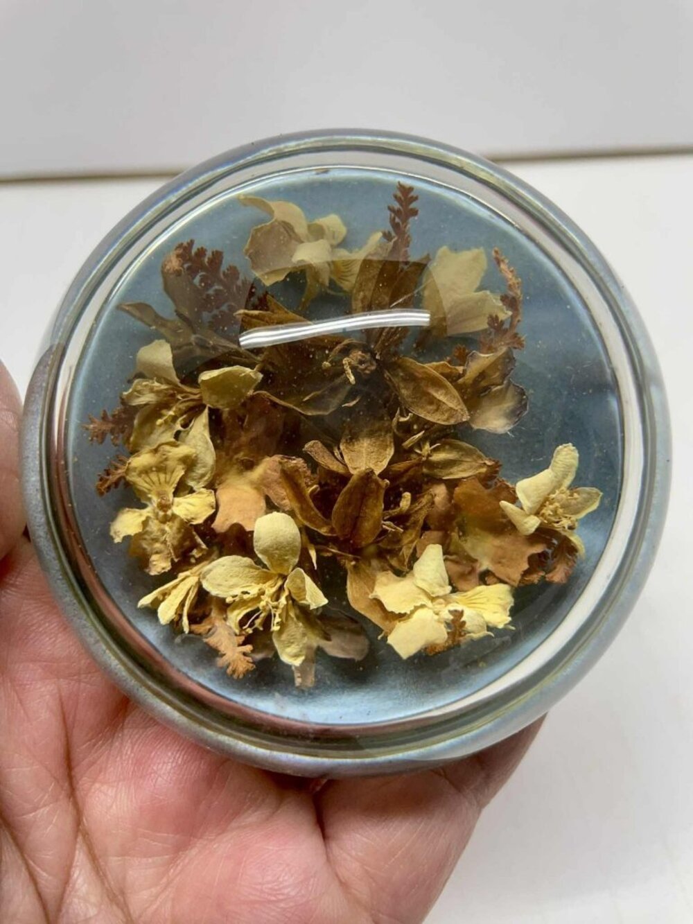 Vintage Glass Round Dome Paperweight w/ Dried Flower Arrangement. MCM Decor